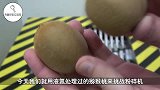 神奇的科学实验，当液氮菠萝遇上粉碎机，这画面太酸爽了！