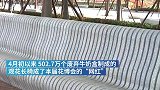 第十届中国花博会闭幕，解码“网红”观花长椅的“前世今生”