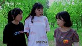 大厨打饭看奥特之魂，赛罗只有2根面，迪迦端走一大盆