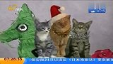 美国“叮当猫”乐队圣诞来送礼