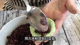 韩国美食教程高颜值的韩国传统点心松饼的制作方法