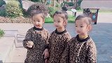 相差一分钟的三胞胎姐妹，三只小豹纹，真是长的一模一样