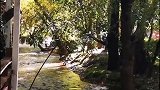 来丽江必到的发呆地，你来陪我吗？