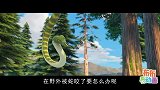 熊出没之探险日记：在森林里被蛇咬了要怎么办