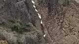 羊：兄弟们快跟上，翻过山就有青草了！
