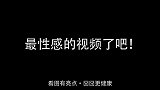 又一只狗狗成精了，像极了陪女友逛街终于看到了沙发的感觉！