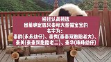 好消息！名字定了