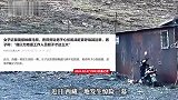 女子近距离接触藏马熊，看得旁边男子心惊胆跳，赶紧呼喊其回来：快过来，不要跑