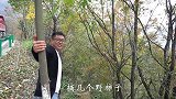 从大山里面回来，在县城吃点新疆烤羊肉串，一天的辛苦都没有了