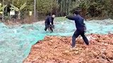 看到没，我狠起来，自己都怕