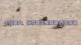 40秒带你认识西安！