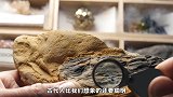 4种不可能出现在古代的技术，古代电池目前被保存在伊拉克博物馆