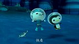 海底小纵队：双髻鲨很感激谢灵通的帮助，大难不死必有后福