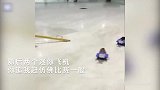 可爱！两豚鼠“驾驶”迷你飞机_你追我赶赛况激烈
