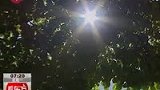 今天迎来处暑 上海“退烧”尚需时日-8月23日