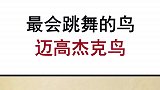 我怀疑这只鸟每天去蹦迪