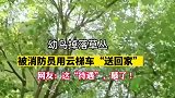 偶遇一只幼鸟掉落草丛，消防员坐云梯车将幼鸟送回家