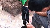 胸前长白毛真心没人要啊