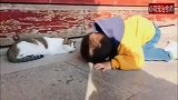 小朋友趴在地上看猫咪睡觉，大概这就是所谓的纯真吧！