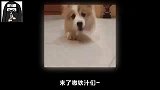 重看火影：大蛇丸创造的三个忍者，浑身都是挂，实力个个堪比影级