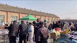 快来领取你的小可爱