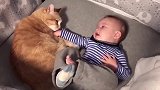 猫咪跟小朋友躺一起，这和谐的玩耍，真是好可爱啊！