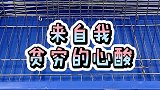 养鼠老司机还有补充吗