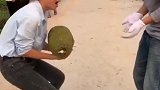 双手太疼了，还给你