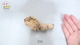 选生姜要注意，不是越光滑越好，牢记这7步，摊主：遇到行家了