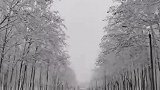 4月13日，全宁夏都在下雪，吴忠盐池县还发布了暴雪蓝色预警。立夏之前，吴忠又赏回雪。