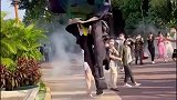 还好是白天碰到的，这要是晚上碰到了，真的能吓死人！