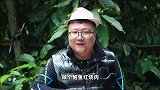 阿米买15只鲍鱼秘制“鲍鱼红烧肉”猪肉软糯，肥而不腻，解馋