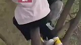 男童贪玩在路边爬树，结果不慎摔倒在护栏上，兄弟变成姐妹了