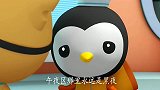海底小纵队：午夜区住着“吸血乌贼”，它有长满尖牙的触手