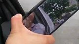 男子的汽车后视镜被偷，用手机代替一路疯狂吐槽：不会偷别的吗
