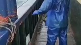 船大就是好，这么大的风浪都不会翻