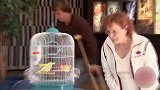 男子街头生吞小鸟！嘴里喷羽毛吓坏众人