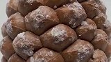 一颗松子的生长过程