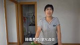 怕上火不懂行的人看到蒲公英，吹掉！懂行的看到蒲公英，凉拌！