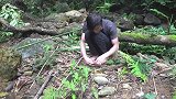 野外生存，丛林搭建树屋，遮风挡雨没问题