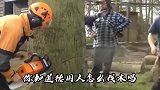 令人难以置信的伐木机器，德国机械太猛了，分分钟搞定大树