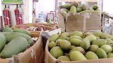 广西南宁：学生质疑学校卖芒果才能毕业：价高还变相强制