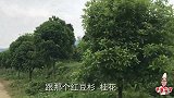 好多网友想来隐居，老曹找了个几重山里深藏的寺庙，风景美环境好