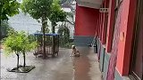 昨天出门的时候忘记看天气预报了怎么突然下雨了