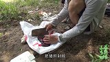 一大块猪肝，100条黑蚯蚓，剁碎打窝，看看能钓到什么鱼？