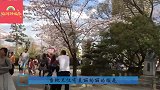 风靡全球的日本机器人妻子，内部构造百看不厌，网友：够逼真