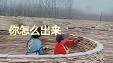 农村拍到的一幕，直接就把我看懵了，这下应该怎样出来啊