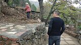 姥姥真像一个小孩子，向八哥一番抱怨，都是两只小狗惹的祸