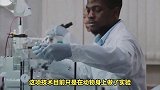 全球首创！武汉理工团队成功研制可注射溶栓纳米机器人