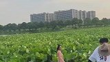 木板出现松动，游客掉进池塘里